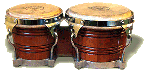 Bongo